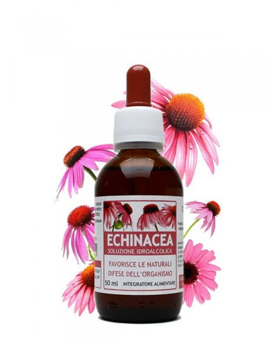SALUS IN ERBIS - Echinacea estratto idroalcolico - Parafarmacia corradini