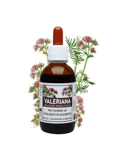 SALUS IN ERBIS - Valeriana estratto idroalcolico - Parafarmacia corradini