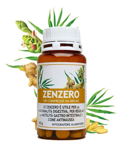 SALUS IN ERBIS -Zenzero 100 compresse da 400 mg - Parafarmacia corradini